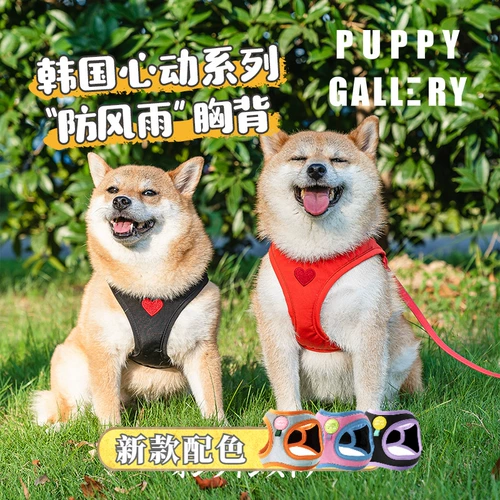 Корея ruppygallery Heart Series Pet Bare Dog Dog Traction Trowc