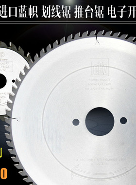 300德国进口leitz蓝帜ITP推台锯电子电脑开料锯双片木工合金锯片