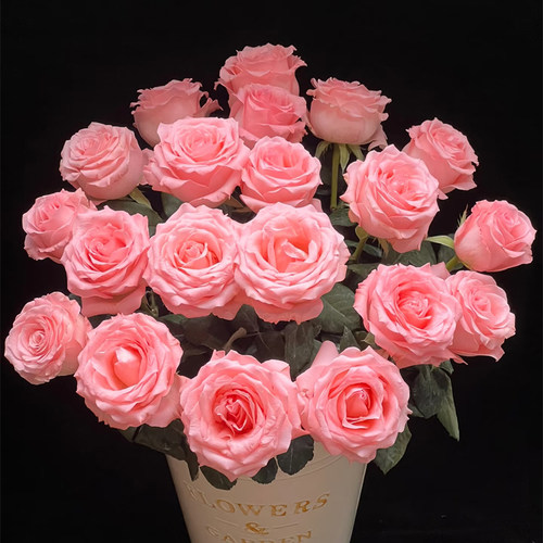 弗洛伊德卡布奇诺玫瑰花鲜花花束云南基地直发速递同城教师节礼物