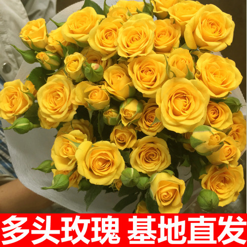 多头玫瑰泡泡情人节礼物