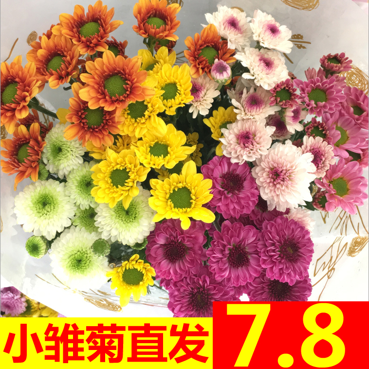 清明节送这些花扫墓