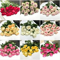 Случайные розы 8 ветвей + 2 ветви (предотвращение потери) Послать свежий консервант