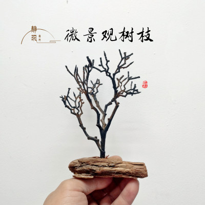 仿真装饰摆件树枝微景