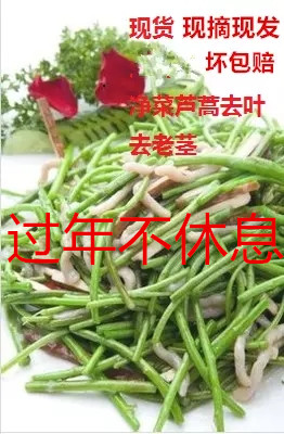 南京芦蒿泥蒿蒌蒿新鲜八卦洲藜蓠黎蒿净菜野蔬菜摘叶免摘包邮-封面