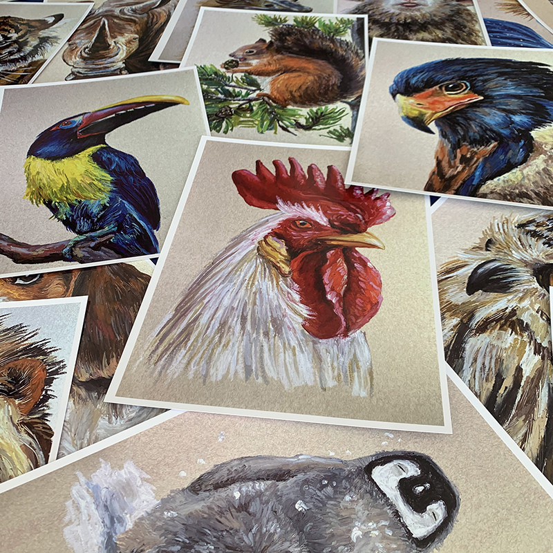 原创带步骤重彩动物水果蔬菜马克笔国牌之光临摹卡少儿美术范画