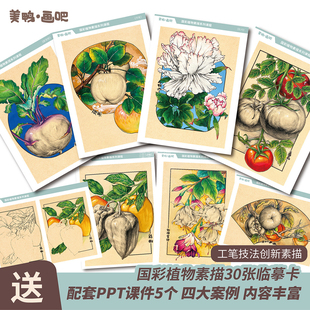 原创少儿美术趣味国彩植物素描临摹卡带步骤范画配套部分PPT课件