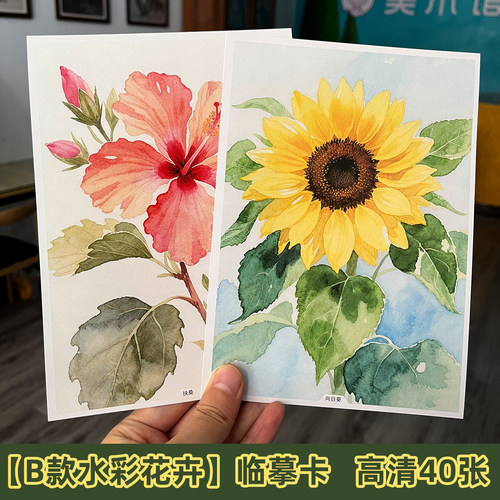 高清水彩花卉A5临摹卡