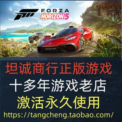 STEAM极限竞速：地平线5全球