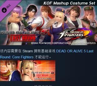 DOA5LR KOF Mashup Costume Set 死或生5 衣服装包DLC STEAM