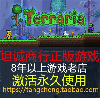 STEAM PC正版游戏 Terraria 泰拉瑞亚 多人联机 国区礼物 现货