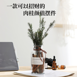 肉桂生财招财摆件送闺蜜朋友女生创意小众生日礼物七夕情人节