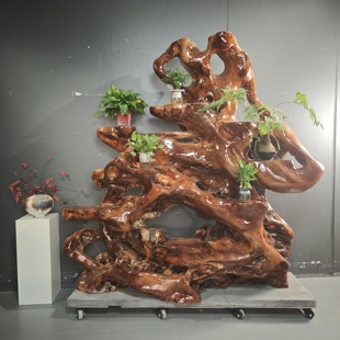 香樟实木根雕花架落地式 饰置物架 多层天然随形树根造型摆件客厅装