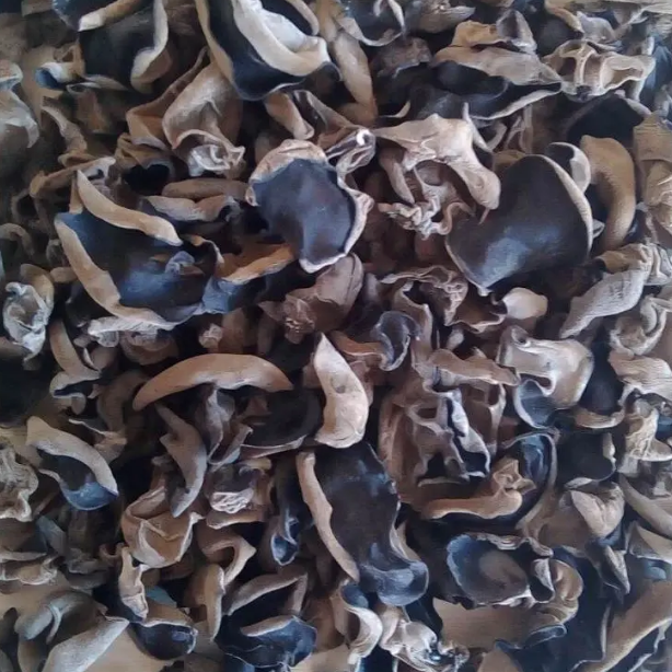 【黑木耳500g】东北吉林长白山木段小木耳碗儿秋木耳今年新货