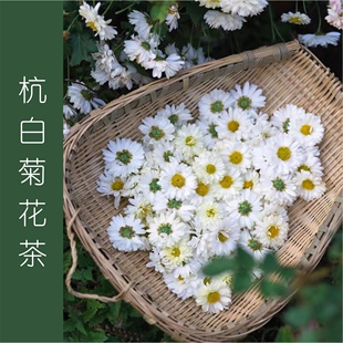 朵朵甄选高品质杭白菊花茶 人工精心挑选 去火神奇 干净无杂质