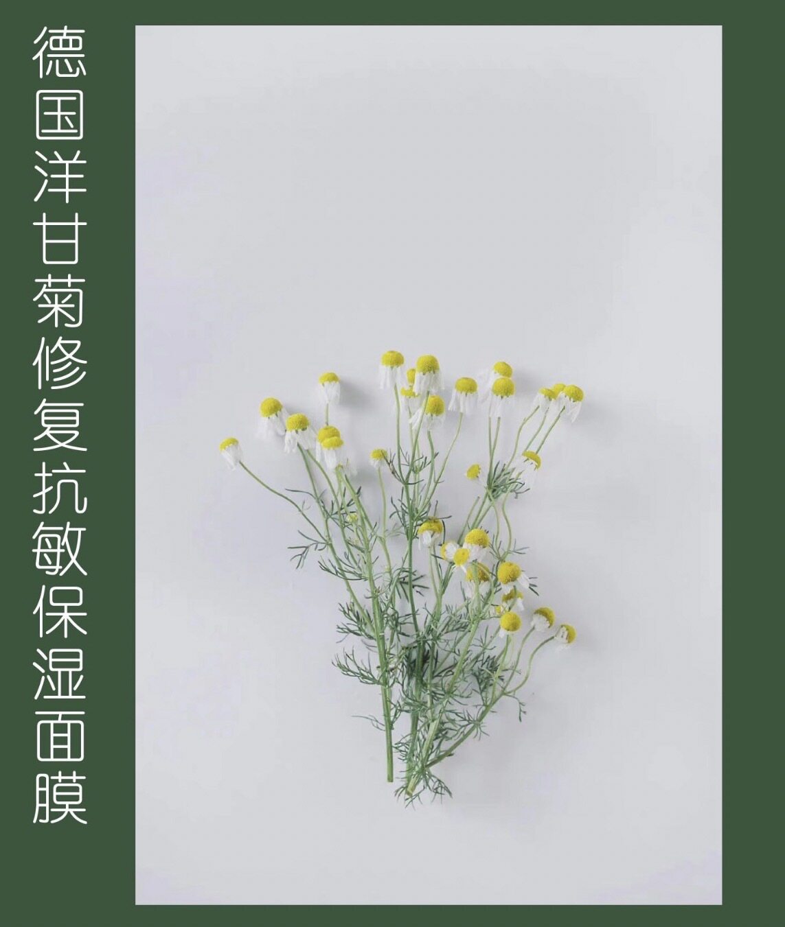 洋甘菊面膜敏感肌的好朋友 专门香薰精油皂