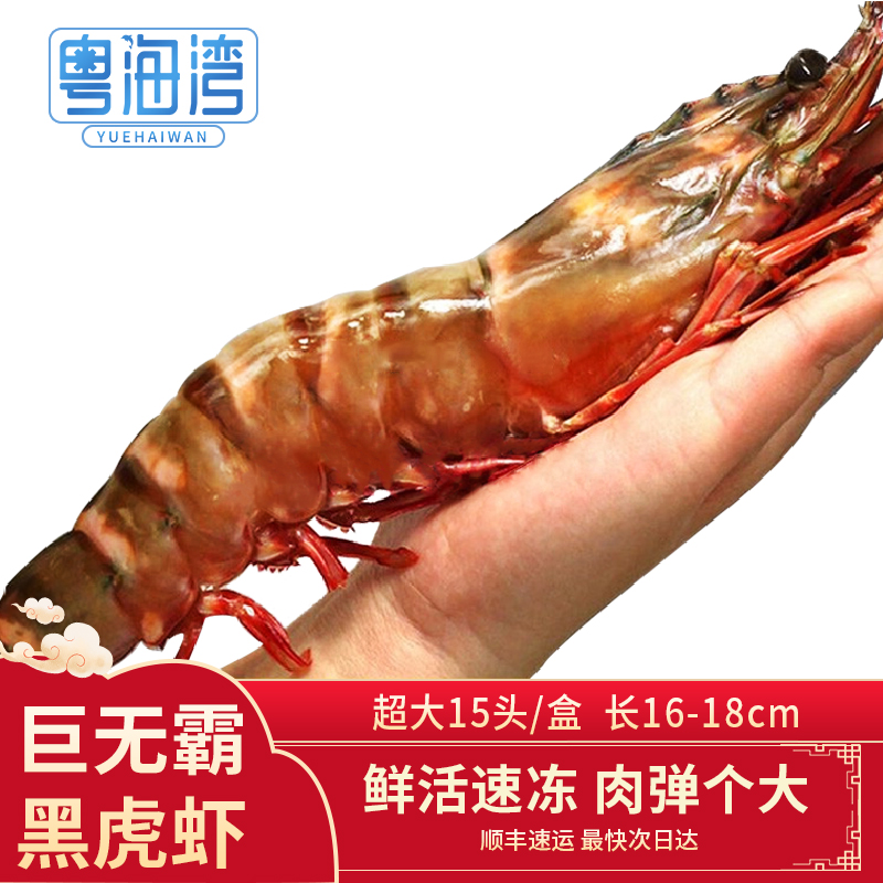 粤海湾超大黑虎虾1000g/15只