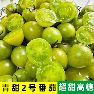 梦想青甜2号番茄苗种籽子超甜二号青口蜜秧樱桃小西红柿四季寿光