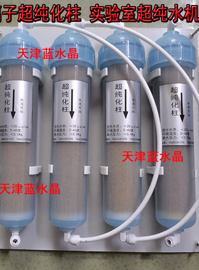 蓝水晶去离子交换树脂柱超纯化柱