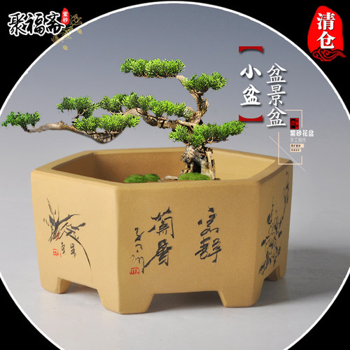 紫砂小盆景盆中国风特价