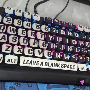 白言诳语键帽pbt支持雷蛇黑寡妇v3v4专业版 mini75%猎魂光蛛v2v3