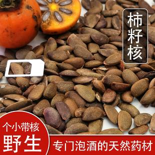 野生土柿子核柿子种子果核天然菩提原籽手串挂件耳环带核土柿子籽