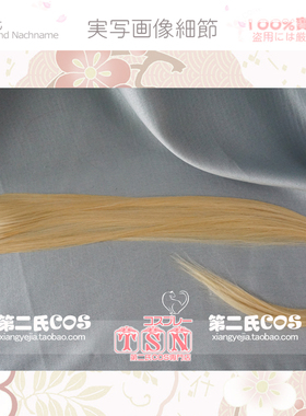 TSN-第二氏 COSPLAY假发 混金 80CM 万用 帅气 接发片/单 FP-13