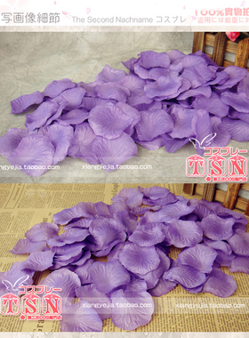 TSN第二氏/COS舞台 V家 茄子可用 内外景 紫色玫瑰花瓣PJ-65