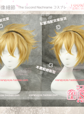 第二氏 AMNESIA失忆症 TOMA 麦金多用少年款 COS假发524