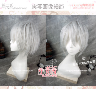第二氏 V家亚种 本音デル 同人 弱音亚种 银发 少年 COS假发899