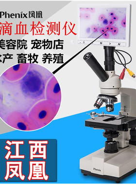 江西凤凰一滴血检测仪 美容宠物血液检测 螨虫畜牧养殖高清显微镜