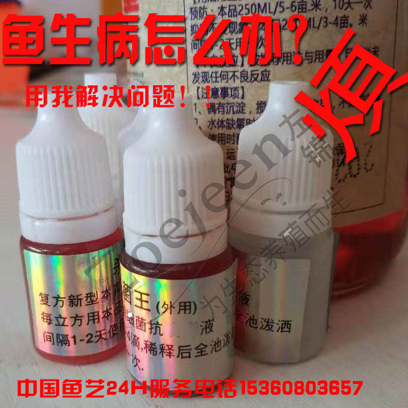 鱼池净水调水菌毒绝杀 菌王每立方用2-3滴5ML用50-80立方