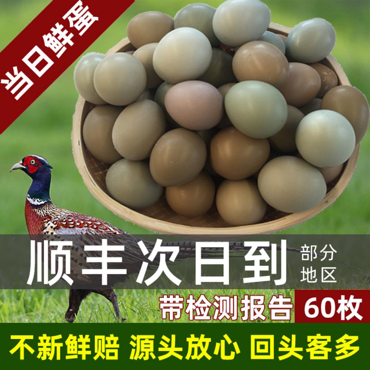 野鸡蛋60枚 七彩山鸡蛋新鲜 野金鸡蛋 绿乌鸡蛋 农家土鸡蛋山鸡蛋
