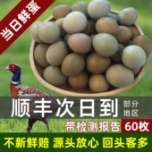 绿乌鸡蛋 野金鸡蛋 农家土鸡蛋山鸡蛋 七彩山鸡蛋新鲜 野鸡蛋60枚