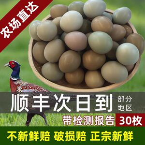 正宗七彩山鸡蛋宝宝孕妇老人爱吃