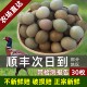 包邮 野鸡蛋30枚 七彩山鸡蛋 土鸡蛋新鲜顺丰 小孟农场 新鲜山鸡蛋