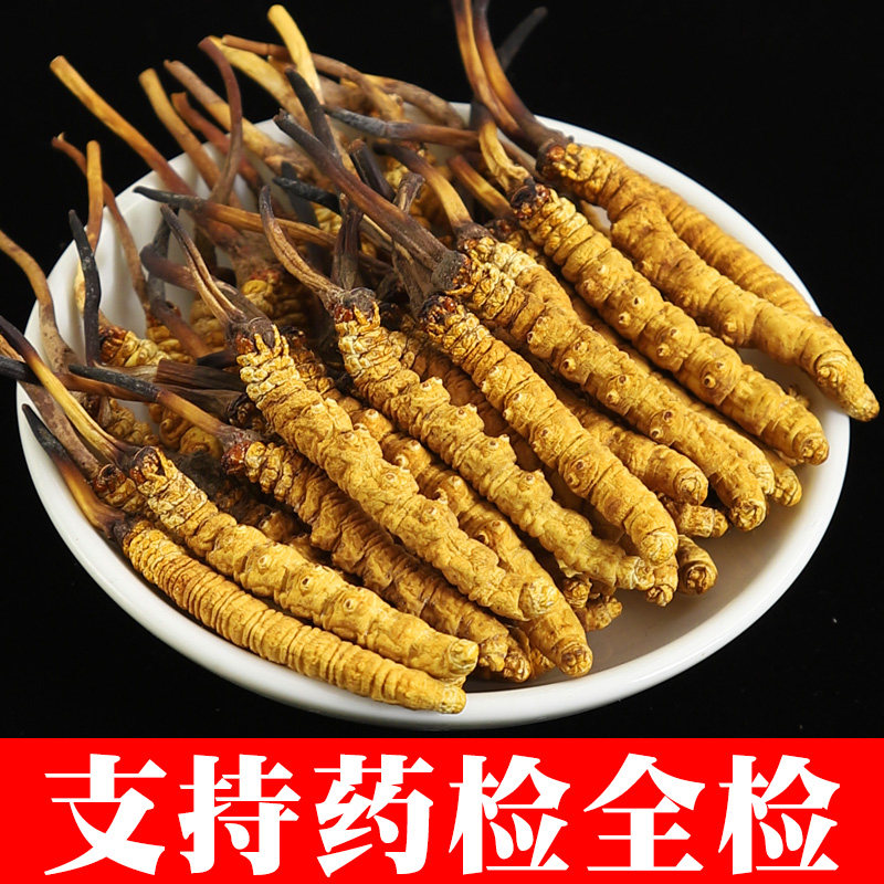 西藏那曲冬虫夏草正品断冬虫草精选各种规格包邮