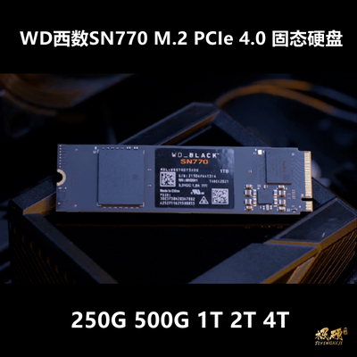 250G500G1T2T西数固态硬盘SN770