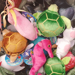 日单海洋馆水族馆卡通毛绒玩具公仔彩色海龟鲸鱼水母海鳗儿童玩具