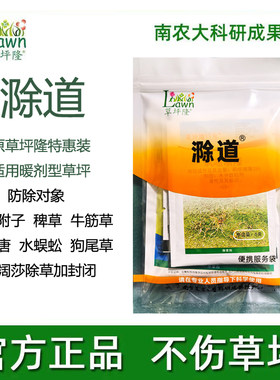特惠暖季型组合装茅草草坪隆滁道