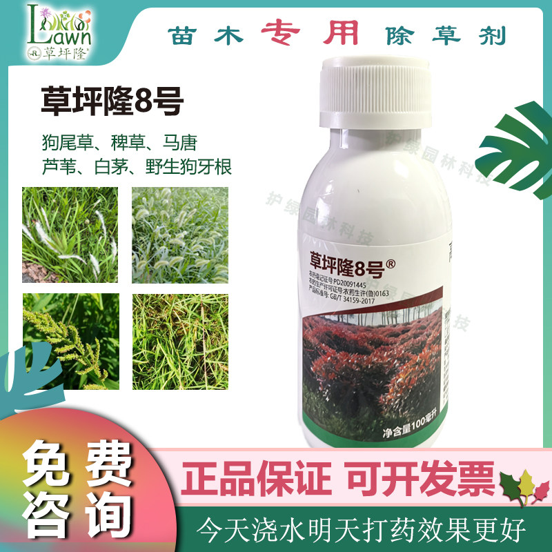 草坪隆8号高效氟吡甲禾灵专用封闭剂禾本杂草苗木专除草剂杀草剂