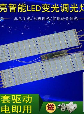 led灯条灯板双色三色吸顶灯光源灯带语音遥控无极调光变光模组