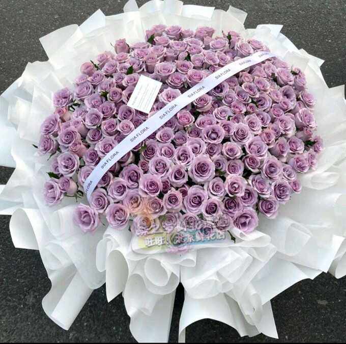 199朵海洋之歌紫玫瑰花束北京鲜花速递同城生日送女友老婆生日花