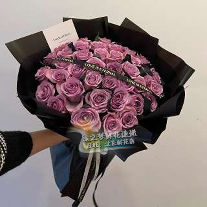鲜花速递同城51枝紫玫瑰花束同事女友生日送花真花鲜花店配送鲜花