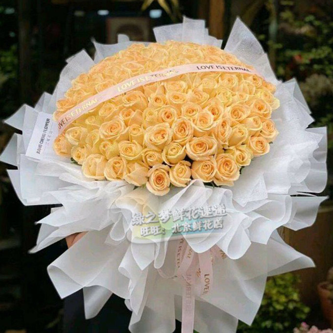 鲜花速递同城配送北京99朵香槟玫瑰花束生日送女友北京鲜花店送花