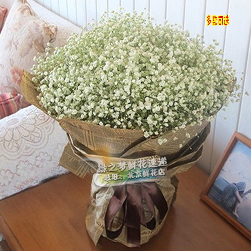 鲜花满天星鲜花束礼盒同城鲜花店北京送闺蜜老婆生日鲜花速递天津