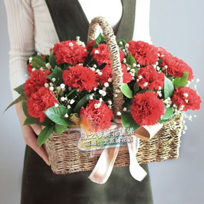 红色康乃馨花花篮石冢庄花店北京 长辈生日鲜花 同城鲜花速递北京