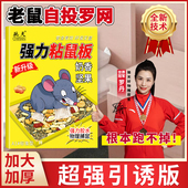 强力引诱老鼠贴超强力粘鼠板老鼠贴加大加厚加胶任意折叠坚果图案