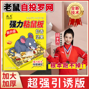 强力引诱老鼠贴超强力粘鼠板老鼠贴加大加厚加胶任意折叠坚果图案