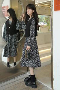 226-A168-P125 2022秋季中长款连衣裙+马甲女  控价178图片
