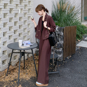 灰色短款西装休闲裤女春秋2025新款减龄高级感时尚穿搭图片